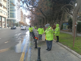 Nəsimi rayonunda yaz-yay mövsümünə hazırlıq çərçivəsində iməcilik keçirilib.