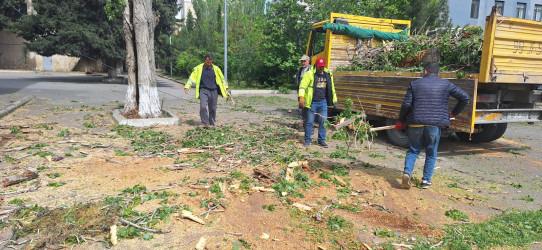 Nəsimi rayonunda abadlıq və cari təmir işləri davam etdirilir.