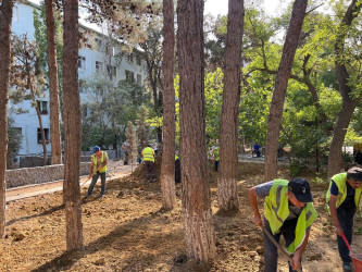 Rayonun Cavadxan küçəsi 26,30 saylı ünvanlarında abadlıq-quruculuq işləri davam edir.