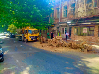 Nəsimi rayonunda növbəti ümumrayon iməciliyi keçirilib.