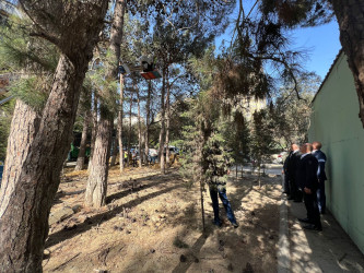 Cavadxan küçəsi 26,30 saylı ünvanlarda abadlıq-quruculuq işləri davam edir.