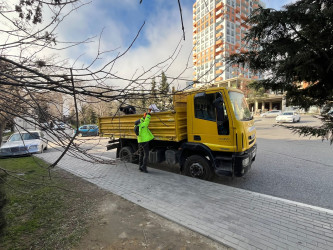 Nəsimi rayonunda yaz-yay mövsümünə hazırlıq çərçivəsində iməcilik keçirilib.
