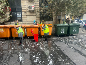 Nəsimi rayonunda idarə, müəssisə və təşkilatların iştirakı ilə iməcilik keçirilib