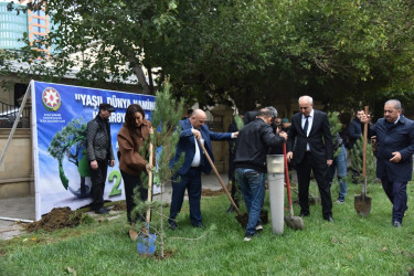 Nəsimi rayonunda “Yaşıl dünya naminə həmrəylik ili” çərçivəsində ağacəkmə aksiyası  keçirilib