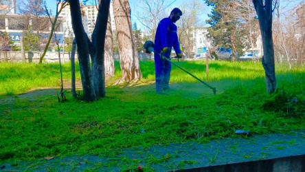 Nəsimi rayonunda növbəti ümumrayon iməciliyi keçirilib.