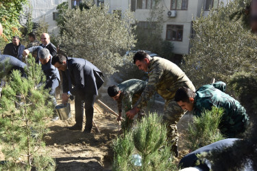 Nəsimi rayonunda 27 sentyabr-Anım günü  münasibətilə ağacəkmə aksiyası keçirilib.