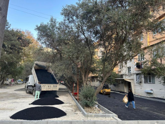 H.B.Əliyev küçəsi 9, 11, 15 və 17 saylı binaların ətrafında abadlıq-quruculuq işləri davam etdirilir.
