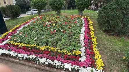 Nəsimi rayonunda başlanılmış abadlıq və təmir-bərpa işləri davam etdirilir.