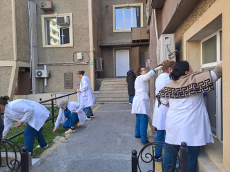 Nəsimi rayonunda Novruz bayramı ərəfəsində ümumrayon iməciliyi keçirilib.