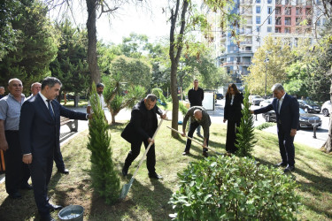 Nəsimi rayonunda 27 sentyabr - Anım Günü münasibətilə ağacəkmə aksiyası keçirilib.