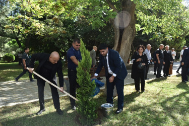 Nəsimi rayonunda 27 sentyabr - Anım Günü münasibətilə ağacəkmə aksiyası keçirilib.