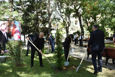 Nəsimi rayonunda 27 sentyabr - Anım Günü münasibətilə ağacəkmə aksiyası keçirilib.