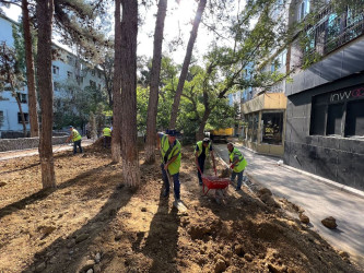 Rayonun Cavadxan küçəsi 26,30 saylı ünvanlarında abadlıq-quruculuq işləri davam edir.