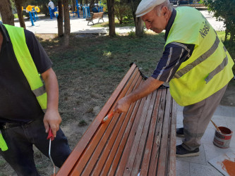 Nəsimi rayonunda cari təmir işləri davam edir