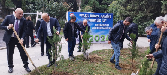 Nəsimi rayonunda “Yaşıl dünya naminə həmrəylik ili” çərçivəsində növbəti tədbir keçirilib.