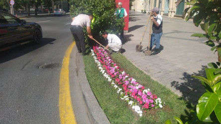 Rayonda növbəti  iməcilik keçirildi.