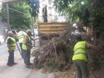 Rayonda növbəti iməcilik keçirildi.