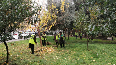 Nəsimi rayonunda növbəti iməcilik keçirilib