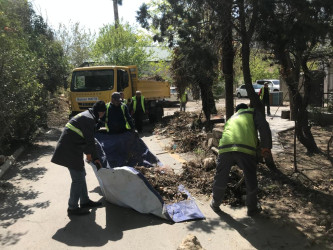 Nəsimi rayonunda növbəti iməcilik keçirilib.