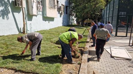 Asif Məhərrəmov 64, 20 yanvar 4/66 saylı binalarda abadlıq-quruculuq işləri davam etməkdədir.