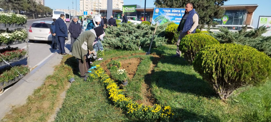 Nəsimi rayonunda “Yaşıl dünya naminə həmrəylik ili” çərçivəsində  növbəti tədbir keçirilib.