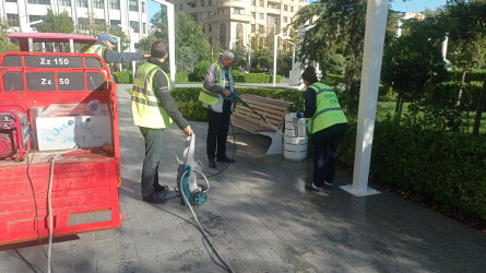 Nəsimi rayonunda növbəti iməcilik keçirildi.