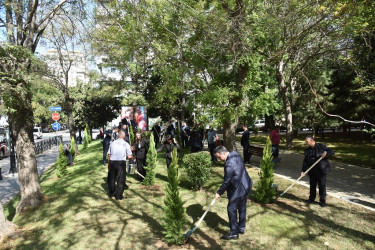 Nəsimi rayonunda 27 sentyabr - Anım Günü münasibətilə ağacəkmə aksiyası keçirilib.
