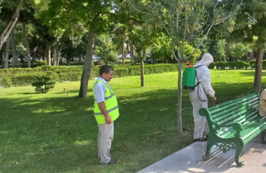 Nəsimi rayonunda parklarda təmizlik-dezinfeksiya tədbirləri görülüb