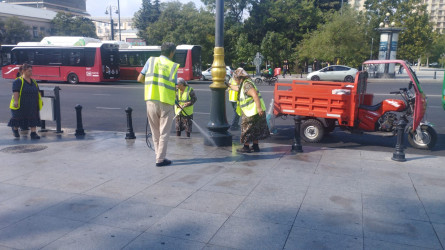 Nəsimi rayonunda növbəti iməcilik keçirilib