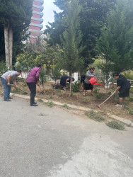 Nəsimi rayonunda idarə, müəssisə və təşkilatların iştirakı ilə iməcilik keçirilib