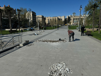 Qış parkında cari təmir işlərinə başlanılıb.