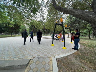 Vaqif prospekti boyunca parklara baxış keçirildi.