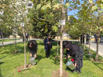 Nəsimi rayonunda Anım Günü ilə bağlı silsilə tədbirlər keçirilib.