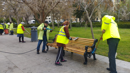 Nəsimi rayonunda genişmiqyaslı iməcilik keçirilib
