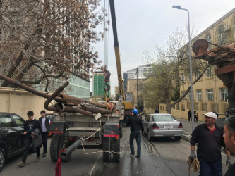 Nəsimi rayonunda küçələrin işıqlandırılması üçün yeni dirəklər quraşdırılır.