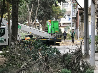 Nəsimi rayonu Bakıxanov küçəsi 42 saylı binada abadlıq işlərinə başlanılıb.