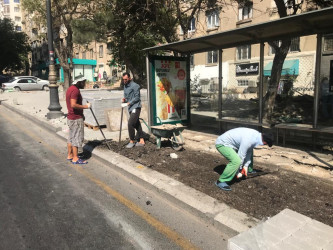 Nəsimi rayonu Həsən Əliyev küçəsində təmir-bərpa işləri aparılıb