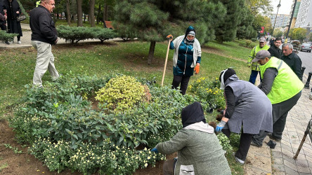 Nəsimi rayonunda   “Yaşıl dünya naminə həmrəylik ili” çərçivəsində növbəti ağacəkmə aksiyası  keçirilib