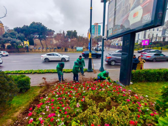 Nəsimi rayonunda növbəti iməcilik keçirilib