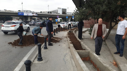 Nəsimi rayonunda abadlıq və yaşıllaşdırma işləri davam etdirilir.