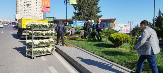 Nəsimi rayonunda “Yaşıl dünya naminə həmrəylik ili” çərçivəsində  növbəti tədbir keçirilib.