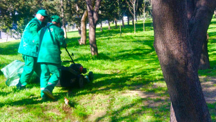 Nəsimi rayonunda növbəti ümumrayon iməciliyi keçirilib.