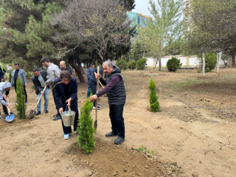 Nəsimi rayonunda Anım Günü ərəfəsində ağacəkmə aksiyası keçirilib.