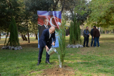 Nəsimi rayonunda Zəfər Günü münasibəti ilə ağacəkmə aksiyası keçirilib.