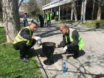 Mərkəzi küçə və prospektlərdə yeni kiçik tullantılar üçün qablar quraşdırılıb, cari təmir işləri aparılıb.