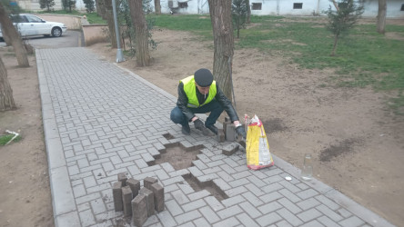 Nəsimi rayonunda genişmiqyaslı iməcilik keçirilib