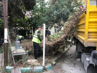 Nəsimi rayonu Bakıxanov küçəsi 42 saylı binada abadlıq işlərinə başlanılıb.