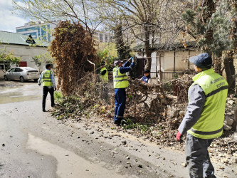 Rayon ərazisində yaşıllıqlara qulluq göstərilib.