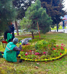 Nəsimi rayonunda Novruz bayramı ərəfəsində ümumrayon iməciliyi keçirilib.