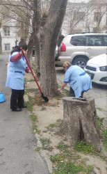 Nəsimi rayonunda növbəti iməcilik keçirilib